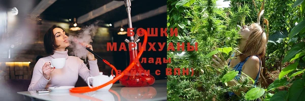 трава Нея